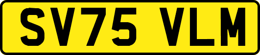 SV75VLM