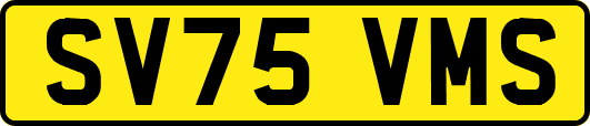 SV75VMS