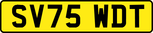 SV75WDT