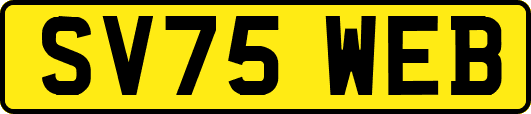 SV75WEB