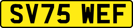 SV75WEF