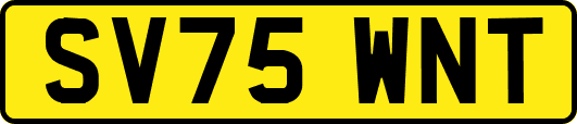 SV75WNT
