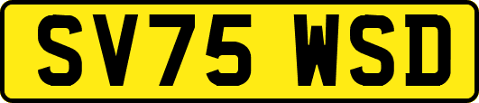 SV75WSD
