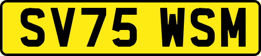 SV75WSM