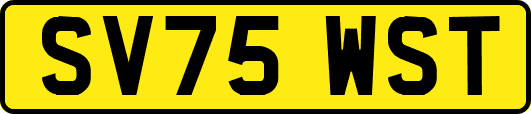 SV75WST