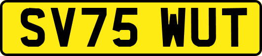 SV75WUT