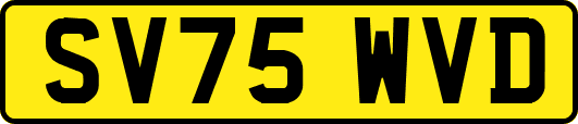 SV75WVD