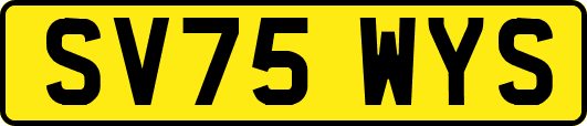 SV75WYS