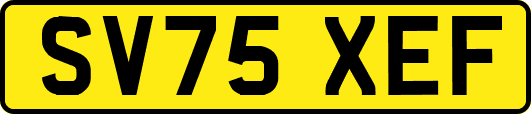 SV75XEF