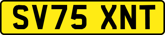 SV75XNT