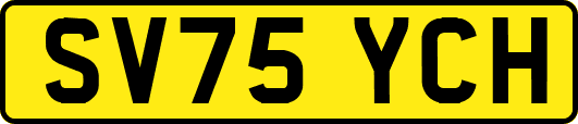 SV75YCH