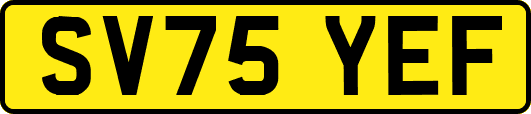 SV75YEF