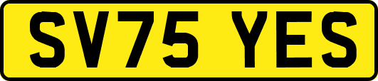 SV75YES