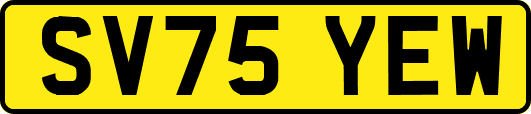 SV75YEW