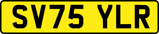 SV75YLR