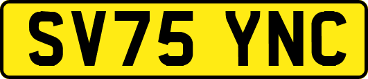 SV75YNC
