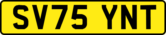 SV75YNT