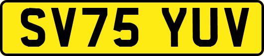 SV75YUV