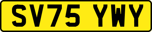 SV75YWY