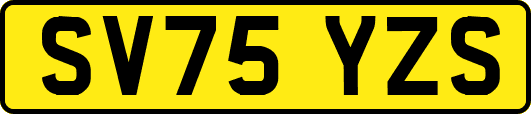 SV75YZS