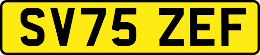SV75ZEF