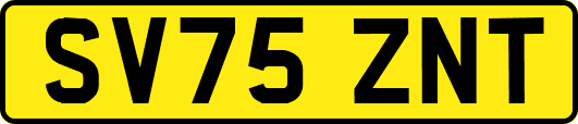 SV75ZNT