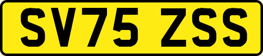 SV75ZSS