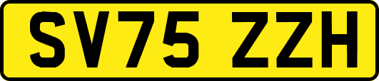 SV75ZZH