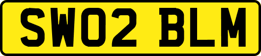 SW02BLM