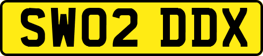 SW02DDX