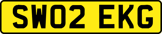 SW02EKG