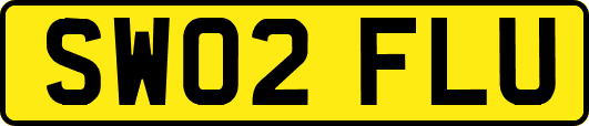SW02FLU