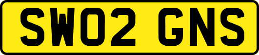SW02GNS