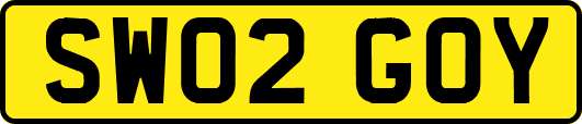 SW02GOY