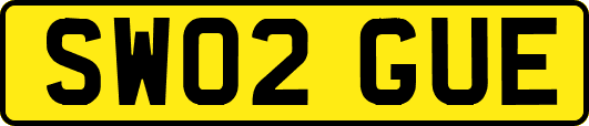 SW02GUE