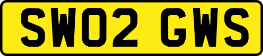 SW02GWS