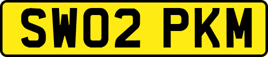 SW02PKM