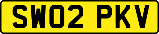 SW02PKV