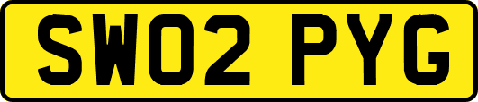 SW02PYG