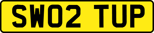 SW02TUP