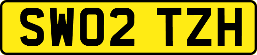 SW02TZH