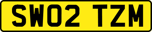 SW02TZM