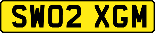 SW02XGM