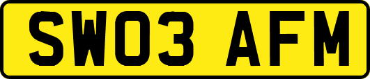 SW03AFM