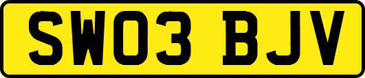 SW03BJV
