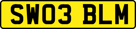 SW03BLM