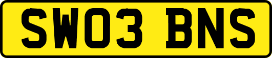 SW03BNS