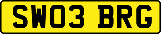 SW03BRG