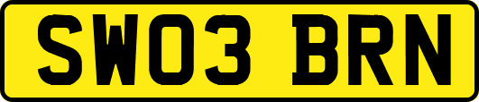SW03BRN