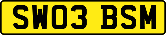 SW03BSM